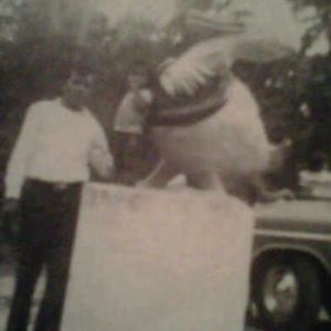 Meet your Posher, Marcio